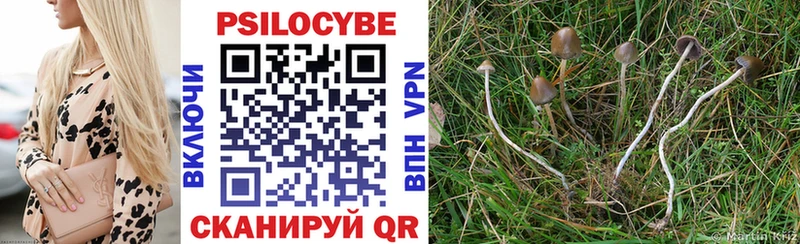 Псилоцибиновые грибы мухоморы  закладки  Энгельс 