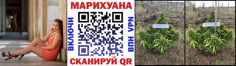 МАРИХУАНА White Widow Энгельс